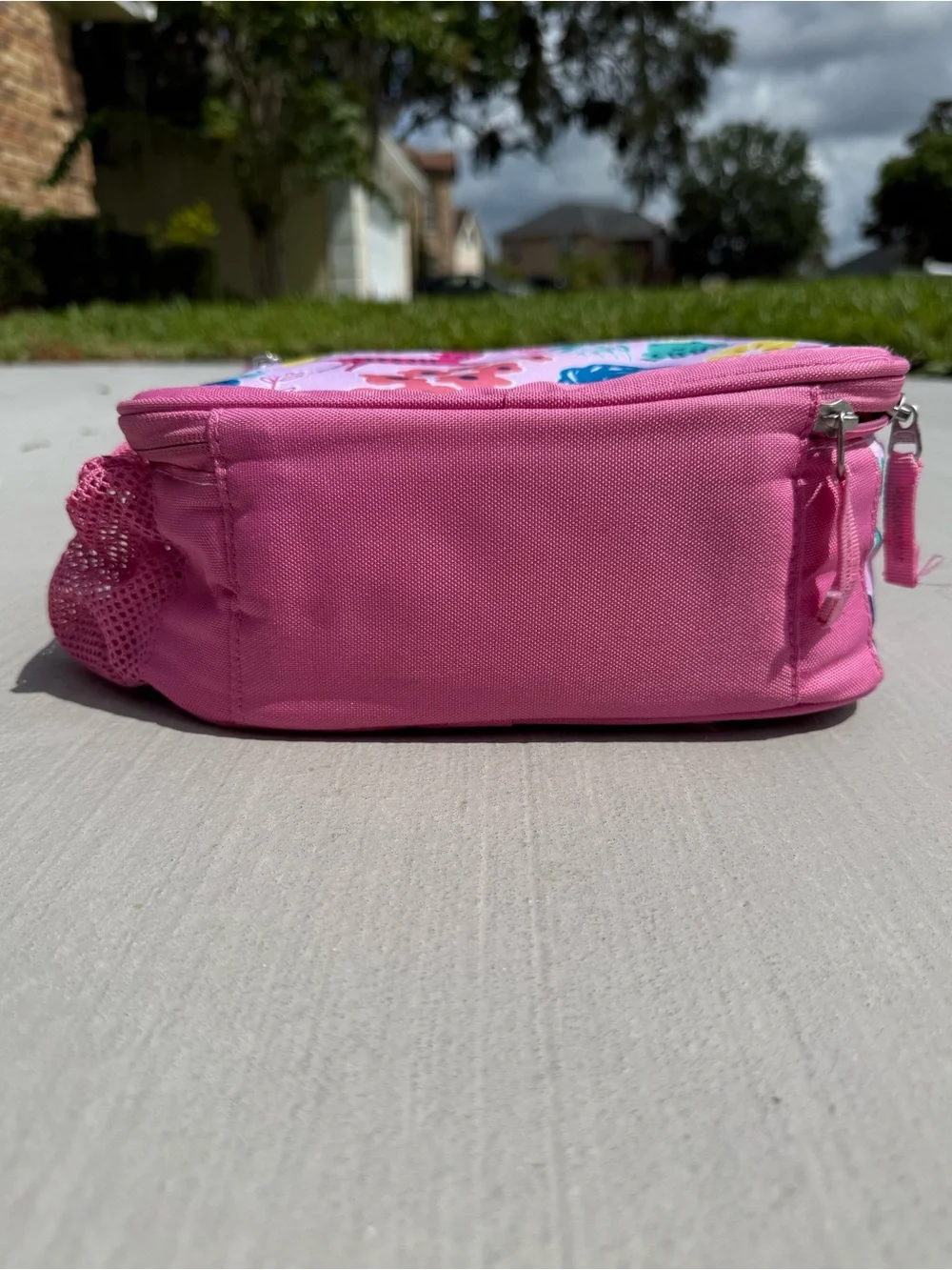Pottery Barn Kids Sasha’s Garden Lunchbox Cold Pack and Removable Strap